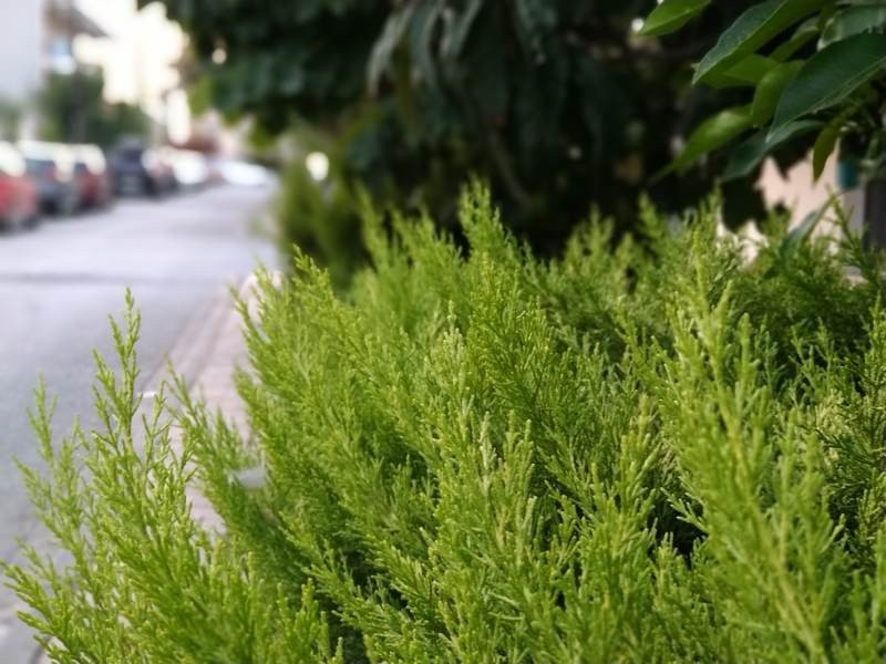 Sony Xperia 10 Mark II Review |  Sony Xperia 10 Mark II Review |