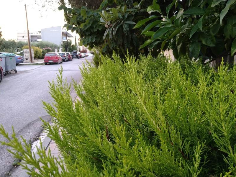 Sony Xperia 10 Mark II Review |  Sony Xperia 10 Mark II Review |