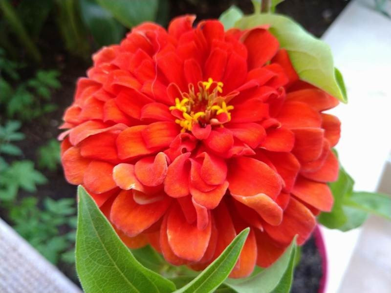 Sony Xperia 10 Mark II Review |  Sony Xperia 10 Mark II Review |