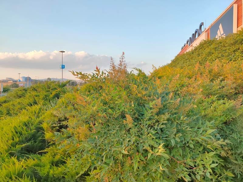 Realme X3 SuperZoom Review | 