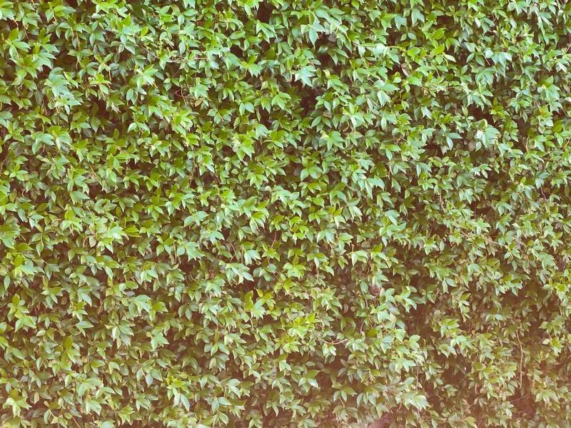 Realme X3 SuperZoom Review | 