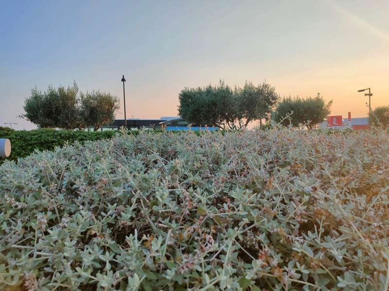 Realme X3 SuperZoom Review | 