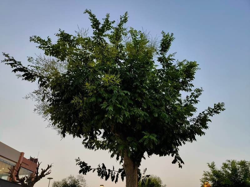 Realme X3 SuperZoom Review | 