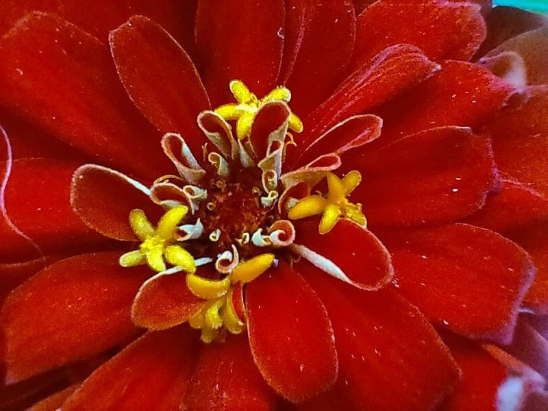 Realme X3 SuperZoom Review | 