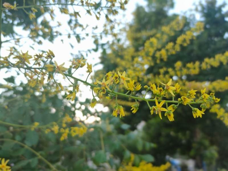 Realme X3 SuperZoom Review | 