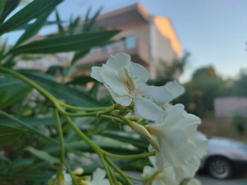 Realme X3 SuperZoom Review | 