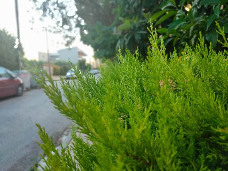 Realme X3 SuperZoom Review | 